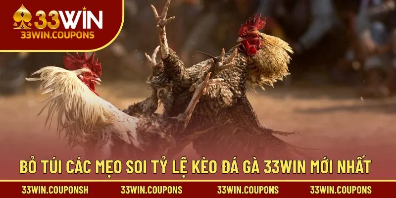 Bỏ túi các mẹo soi tỷ lệ kèo đá gà 33win mới nhất