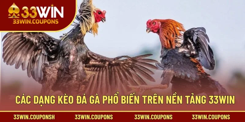 Các dạng kèo đá gà phổ biến trên nền tảng 33win