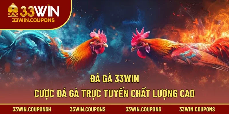 Đá Gà 33win – Cược Đá Gà Trực Tuyến Chất Lượng Cao
