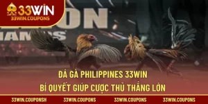 Đá gà Philippines 33WIN – Bí quyết giúp cược thủ thắng lớn