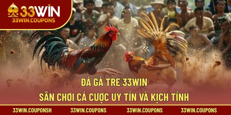 Đá Gà Tre 33WIN – Sân Chơi Cá Cược Uy Tín Và Kịch Tính