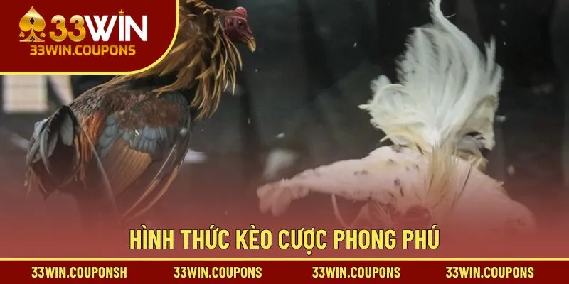 Hình thức kèo cược phong phú
