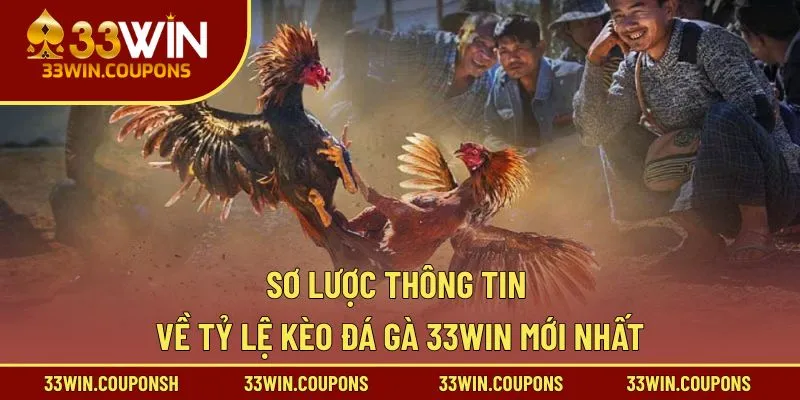 Sơ lược thông tin về tỷ lệ kèo đá gà 33win mới nhất